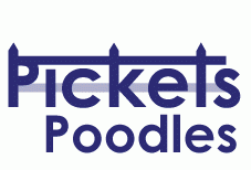 Picket Poodles logo