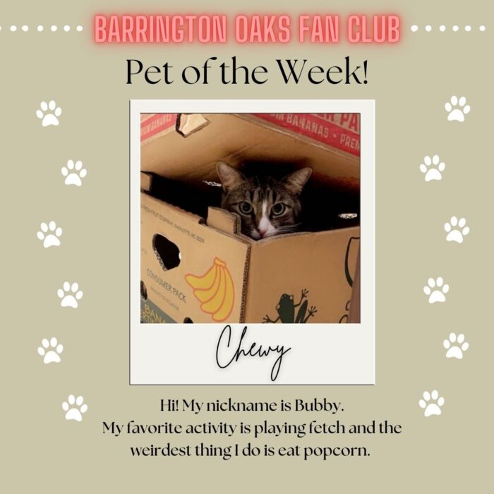 Pet of the Week - Chewy