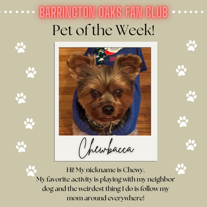 Pet of the Week - Chewbacca