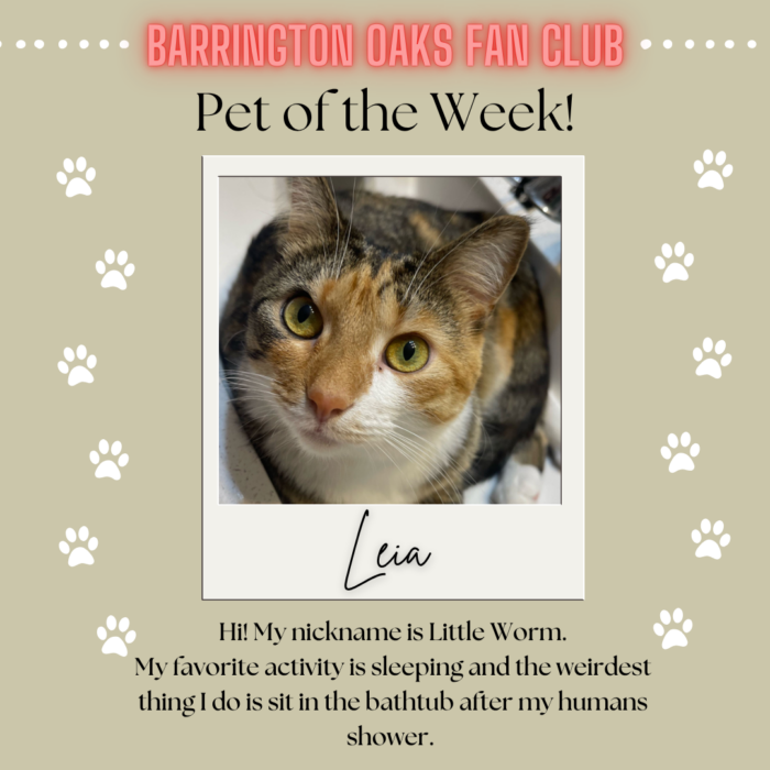 Pet of the Week - Leia