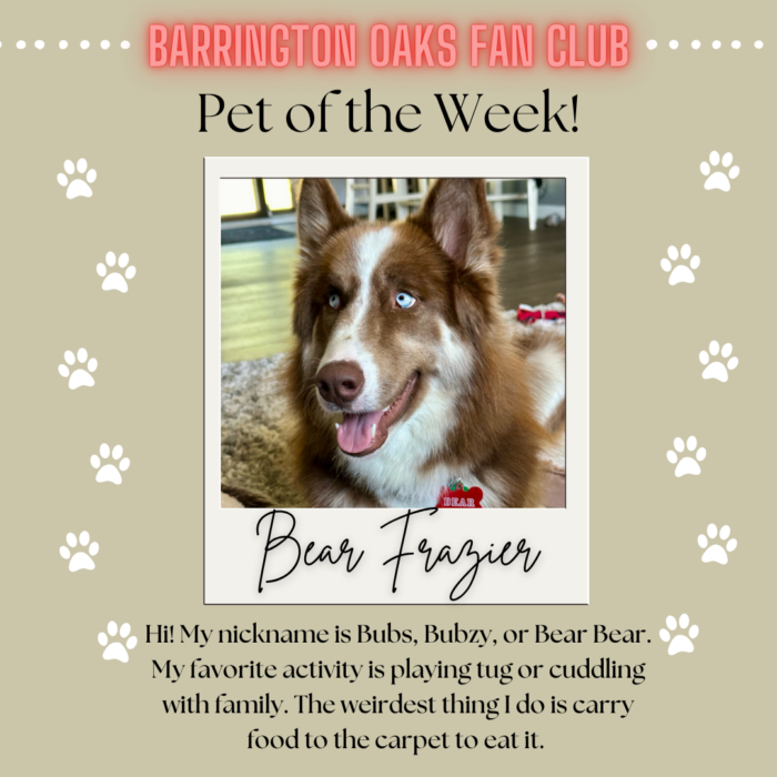 Pet-of-the-Week-Bear-Frazier