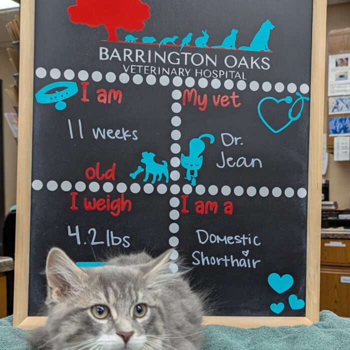 PXL_20250814_222514660