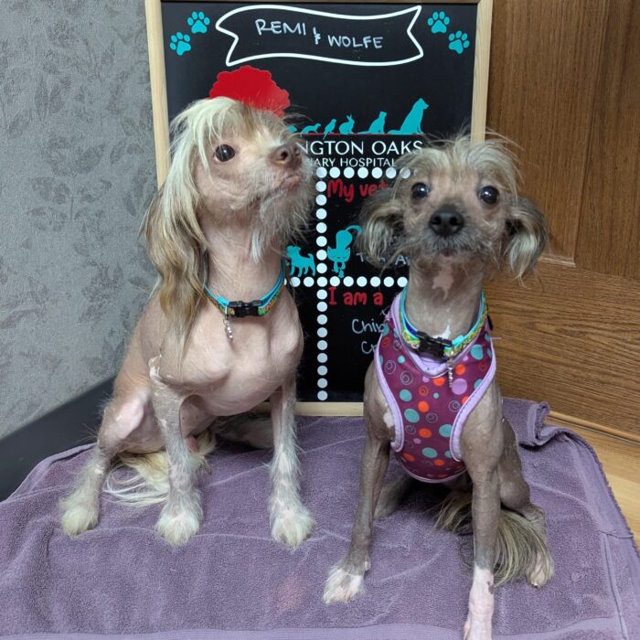 PXL_20250822_161826237