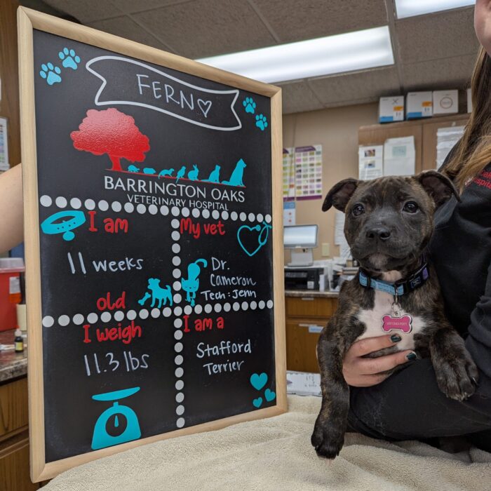 PXL_20250825_163458421~2