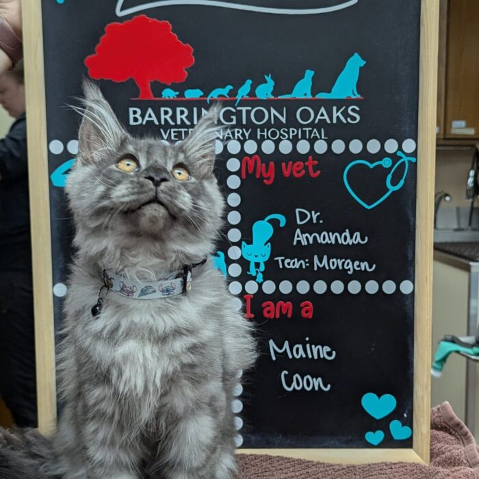 PXL_20250827_142051077~2