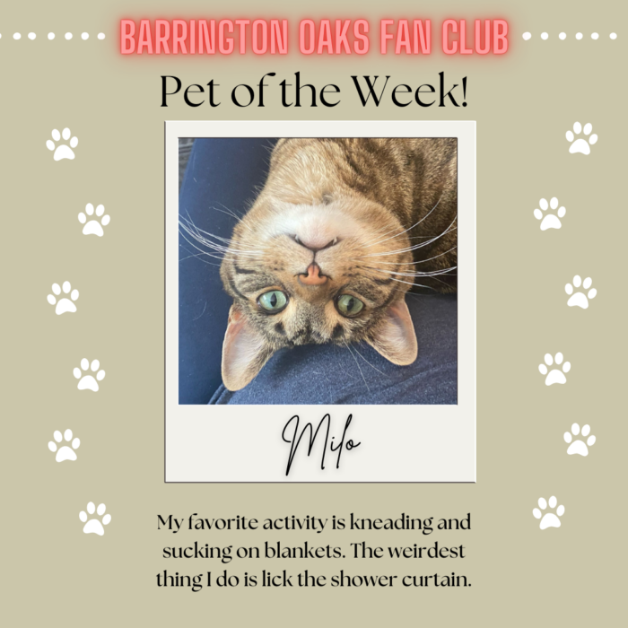Pet of the Week (7)