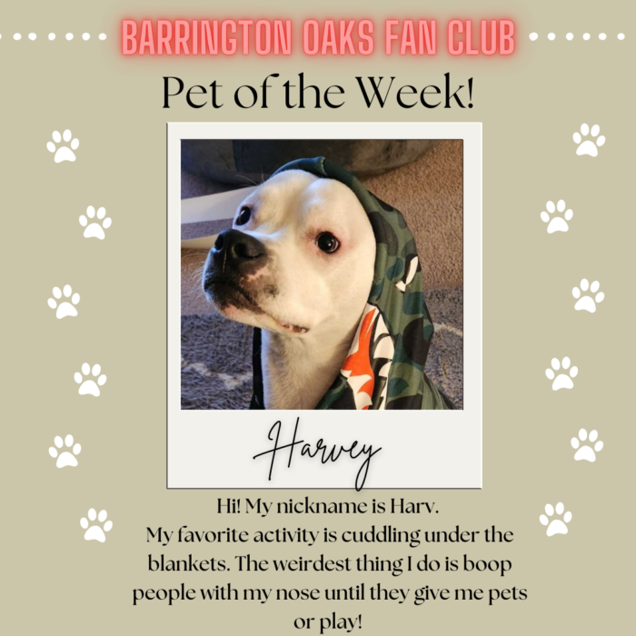 Pet of the Week (9)