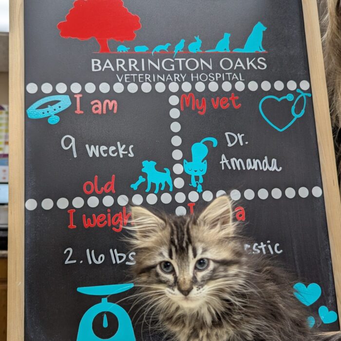 PXL_20251119_170946912~2