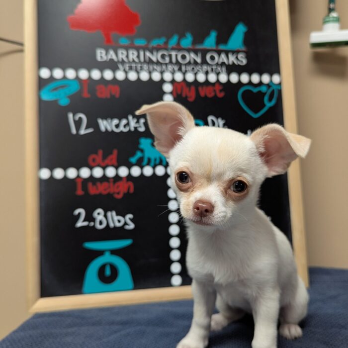 PXL_20251124_152534034~2