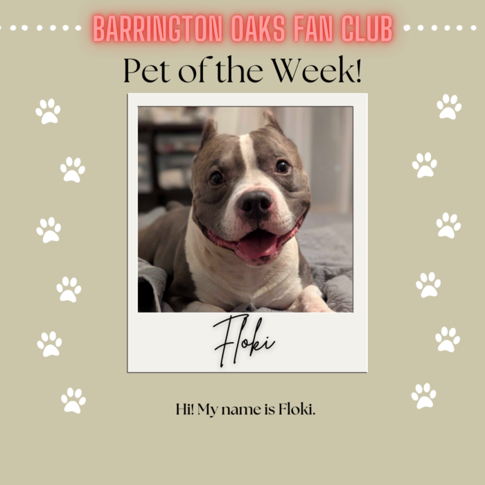 Pet of the Week (12)